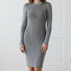 Express fitted sweater dress